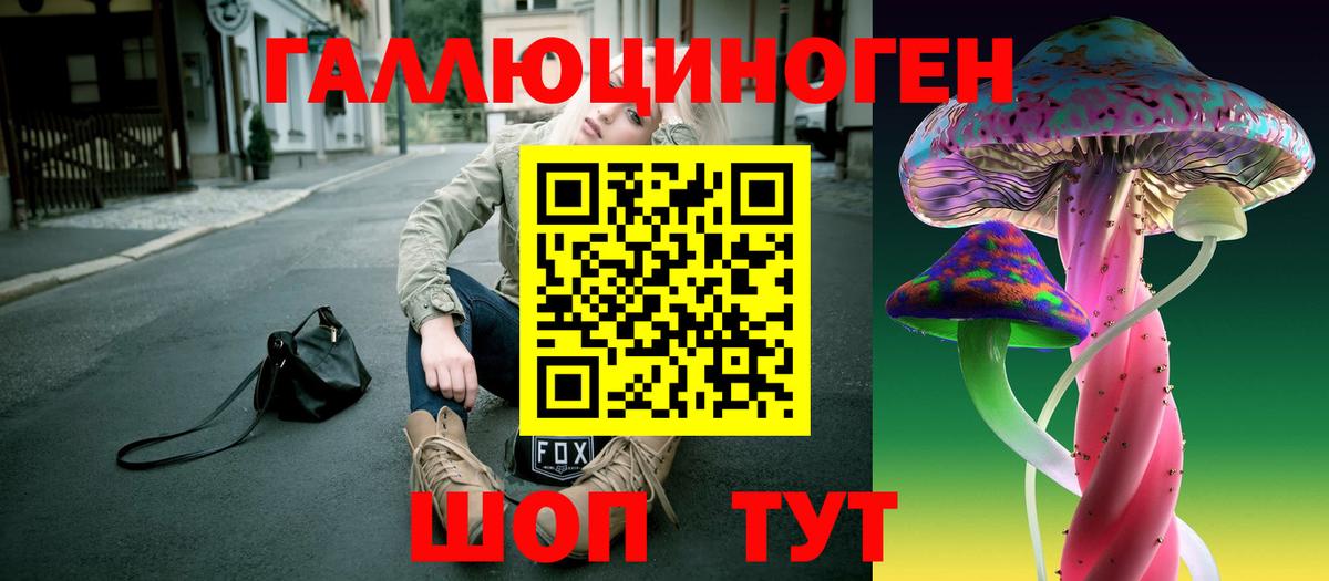 Мыски  Псилоцибиновые грибы Psilocybe  Псилоцибиновые грибы Psilocybe  Вход с VPN 