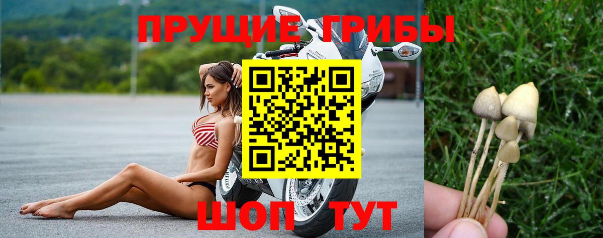 Галлюциногенные грибы мицелий Мыски